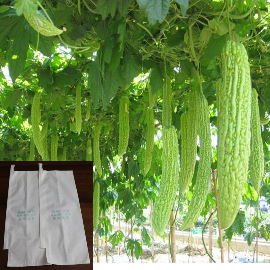 苦瓜套袋丝瓜黄瓜节瓜水果专用套袋防虫套袋全木浆防水防虫袋子在类目 办公设备/耗材/相关服务, 包装设备/标牌及耗材, 包装袋中 - 来自Buy2taobao.com提供专业的淘宝代购服务
