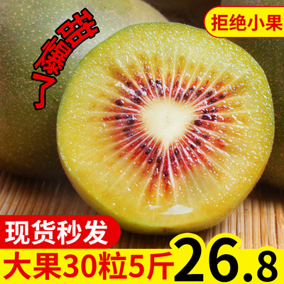 四川蒲江红心猕猴桃5斤大果包邮当季整箱新鲜水果奇异果弥猴桃甜