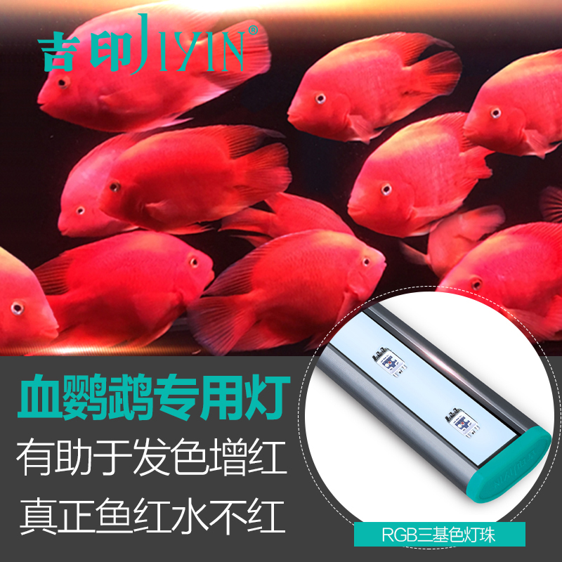 吉印专用血鹦鹉鱼缸灯 led鹦鹉发财鱼水箱灯高光照明灯引色灯在类目 宠物/宠物食品及用品, 水族世界, 鱼缸等水族设备, 照明器材中 - 来自Buy2taobao.com提供专业的淘宝代购服务