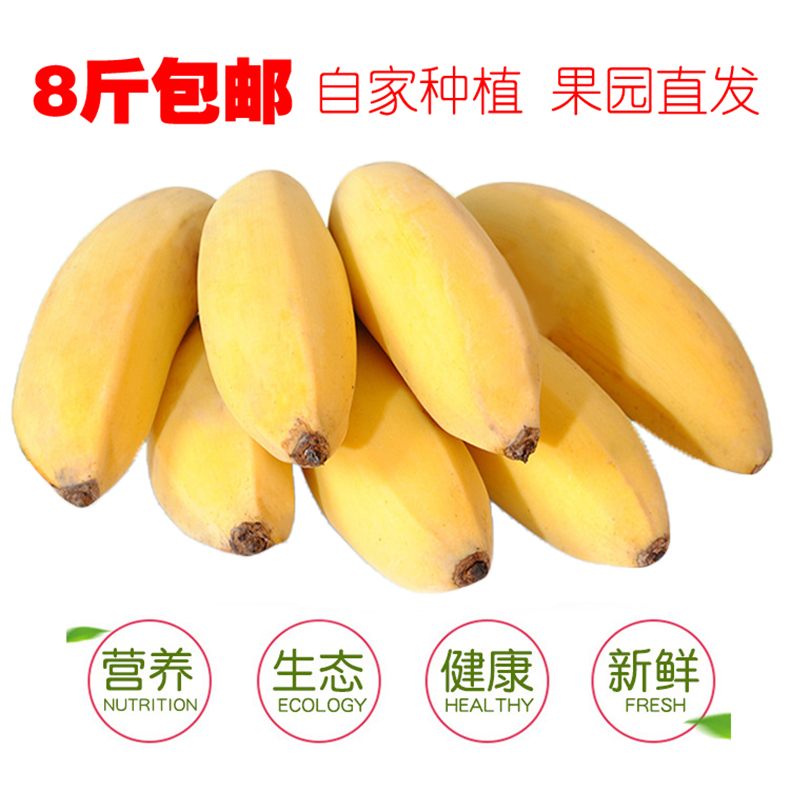广西农家无公害香蕉 新鲜孕妇水果西贡蕉粉蕉 无催熟剂9斤包邮|ruв категории водной мясо/свежие фрукты и овощи/еда, свежие фрукты, банан - от Buy2taobao.com для оказания профессиональной услуги покупки агента Taobao