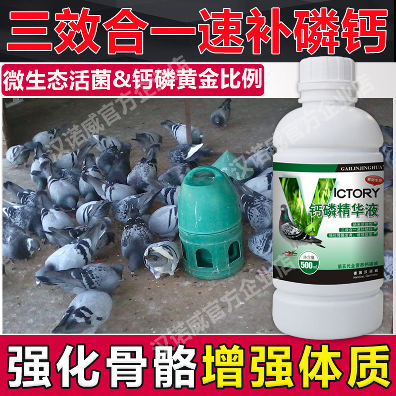 Pigeon drug Germany Hanover Calcium phosphate Essence liquid Pigeon Pigeon parrot Tiger peony Calcium supplement Absorbin the Pet/Pet food and supplies , Birds and supplies , Bird food category - from Buy2taobao.com to provide professional Taobao agent buy service