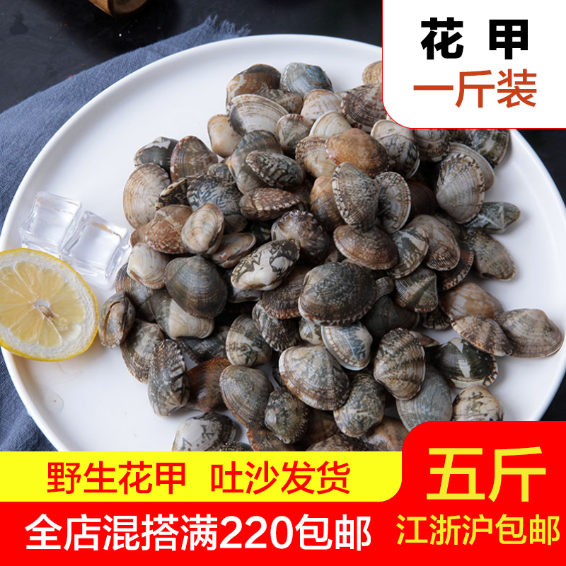 海鲜水产花甲鲜活包邮花蛤新鲜海鲜贝类杂色蛤500g|ruв категории водной мясо/свежие фрукты и овощи/еда, морепродукты/водные продукты/изделия, моллюски, моллюсков изделия - от Buy2taobao.com для оказания профессиональной услуги покупки агента Taobao