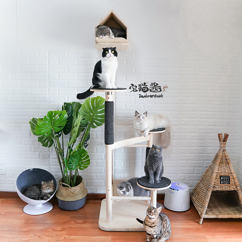 宅猫酱 实木豪华大型北欧风格猫爬架舒适节约空间猫别墅窝在类目 宠物/宠物食品及用品, 猫/狗玩具, 猫爬架中 - 来自Buy2taobao.com提供专业的淘宝代购服务