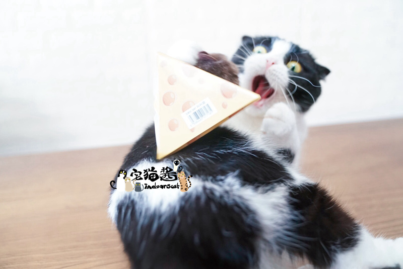 House cat sauce Electric Vocalization Little Mouse Toys Accompany Toys Cat Toys Little squeakin the Pet/Pet food and supplies , Cat/Dog Toys , Sound toys category - from Buy2taobao.com to provide professional Taobao agent buy service