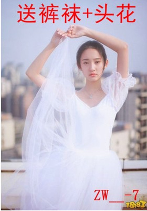 新款专业舞蹈纱裙芭蕾舞蓬蓬裙天鹅湖演出服成人泡泡袖芭蕾舞裙在类目 运动/瑜伽/健身/球迷用品, 舞蹈/健美操/体操, 芭蕾舞, 芭蕾舞演出服中 - 来自Buy2taobao.com提供专业的淘宝代购服务