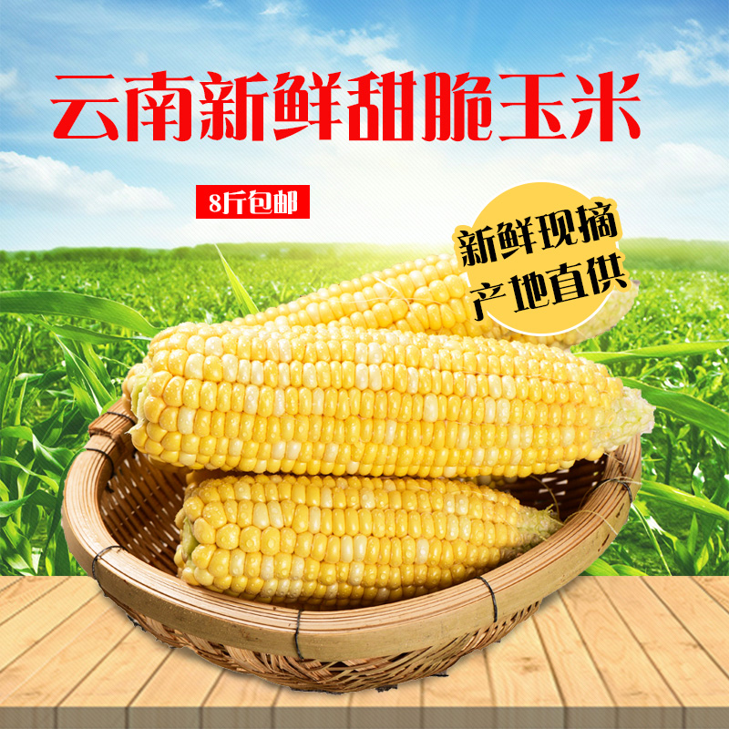 云南新鲜甜脆水果玉米新鲜甜玉米棒子爆浆8斤新鲜蔬菜包邮包谷在类目 水产肉类/新鲜蔬果/熟食, 新鲜蔬菜/蔬菜制品, 新鲜蔬菜, 其它中 - 来自Buy2taobao.com提供专业的淘宝代购服务