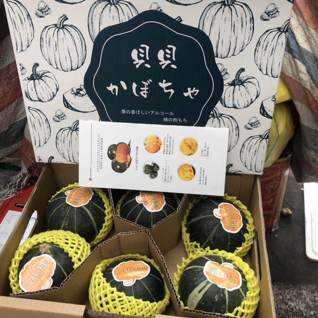日本引种贝贝南瓜 5-6个约4斤 板栗味迷你贝贝小南瓜粉甜好吃南瓜|msdalam kategori daging perikanan/Buah-buahan segar dan sayur-sayuran/dimasak, sayur-sayuran segar/Vegetable Products, sayur-sayuran segar, lain - dari Buy2taobao.com untuk memberikan perkhidmatan ejen Taobao profesional membeli