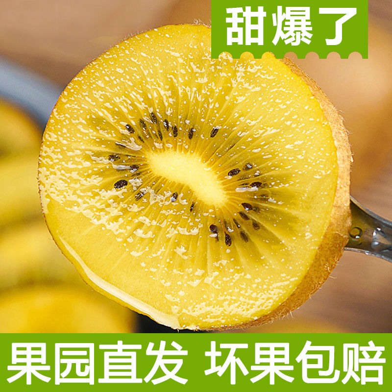 猕猴桃黄心四川浦江黄心猕猴桃智利进口黄色奇异果新鲜水果在类目 水产肉类/新鲜蔬果/熟食, 新鲜水果, 奇异果/猕猴桃中 - 来自Buy2taobao.com提供专业的淘宝代购服务