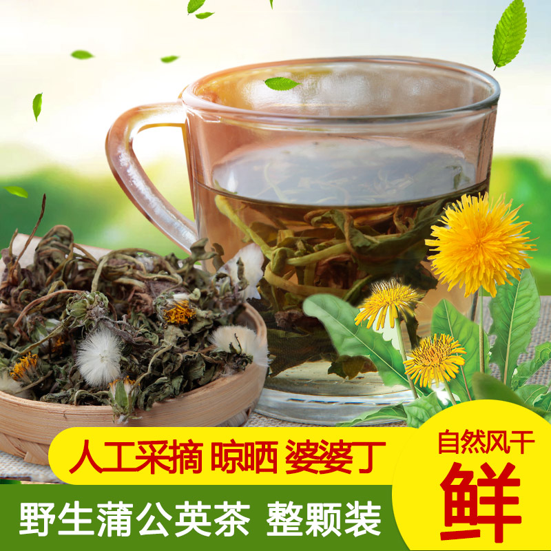 包邮春季新货野生蒲公英整棵有花根蒲公英茶干货婆婆丁在类目 茶, 代用/花草/水果/再加工茶, 代用/花草茶中 - 来自Buy2taobao.com提供专业的淘宝代购服务