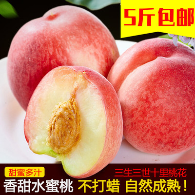 桃子新鲜毛桃脆桃现摘现货五月水果大桃子红心水蜜桃软桃鲜桃现货