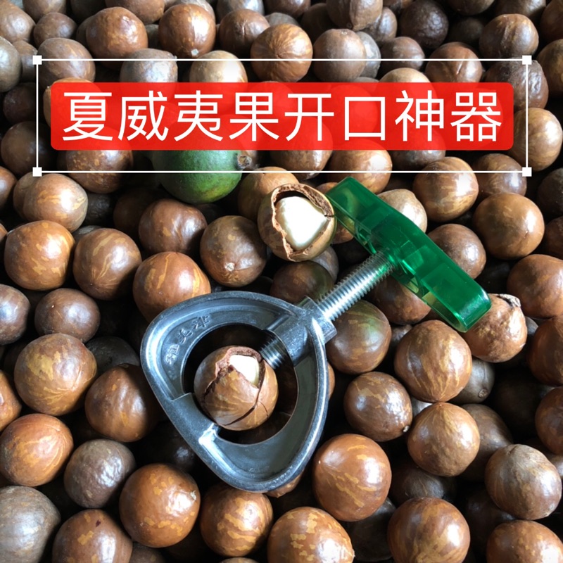开坚果神器新鲜夏威夷果开口器澳洲坚果开壳器坚果开果夹破壳工具|ruв категории кухня/посуда, кухонный Гаджет/кухня хранения, грецкий орех - от Buy2taobao.com для оказания профессиональной услуги покупки агента Taobao
