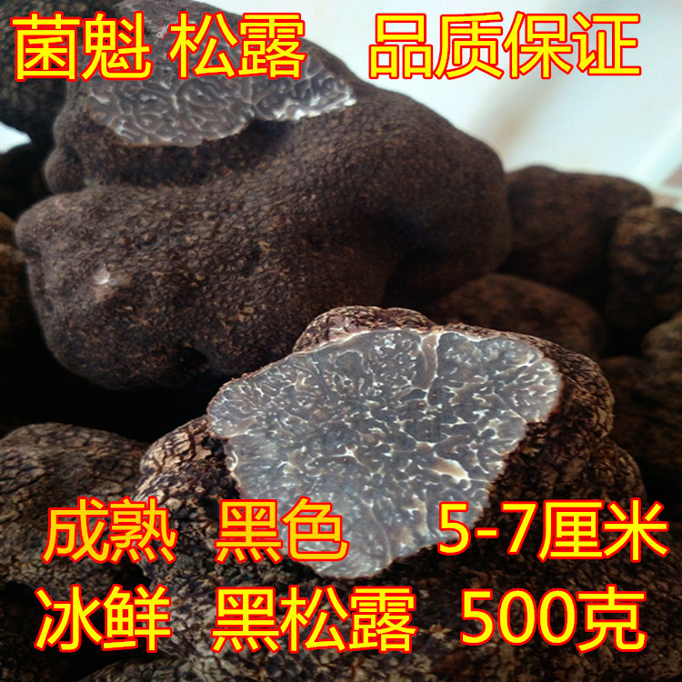 菌魁 成熟黑色 云南特产 冰鲜黑松露菌 猪拱菌 块菌5-7厘米500克在类目 粮油米面/南北干货/调味品, 南北干货/肉类干货, 干货/土特产, 香菇类中 - 来自Buy2taobao.com提供专业的淘宝代购服务