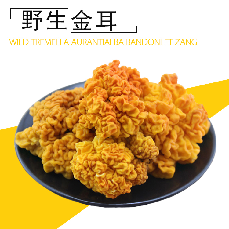 菌魁 金耳菌 云南特产 野生菌干货 黄耳 银耳 木耳50克 煲粥食材|msdalam kategori beras/Utara-Selatan barangan kering/perasa, Utara-Selatan barangan kering/daging Kering, kering/Native, kulat putih/Jelly - dari Buy2taobao.com untuk memberikan perkhidmatan ejen Taobao profesional membeli