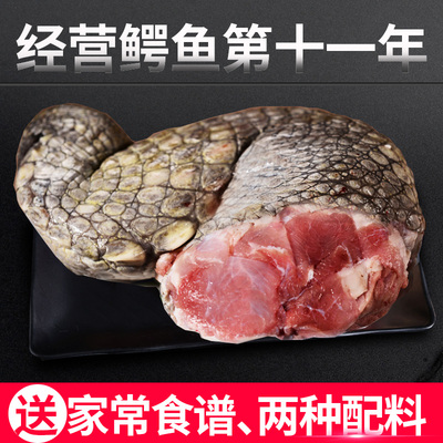 泰国进口鳄鱼掌1000g 生鲜水产鳄鱼肉新鲜 地方特产美食