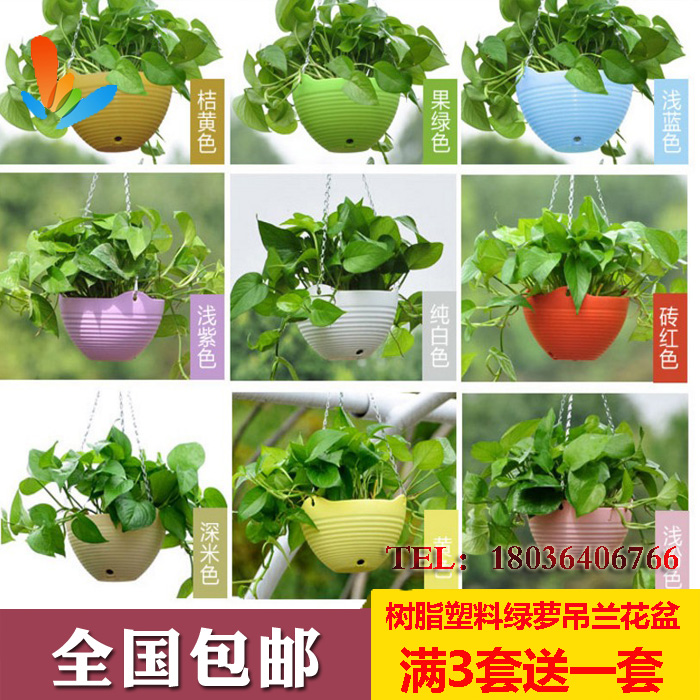 5个大号树脂PP 吊篮盆园艺花盆加厚吊兰盆垂吊盆吊盆挂盆绿萝吊兰|msdalam kategori Aksesori rumah, pasu/bunga/bunga tiruan/perhiasan imitasi, bunga/pasu, flowerpot - dari Buy2taobao.com untuk memberikan perkhidmatan ejen Taobao profesional membeli