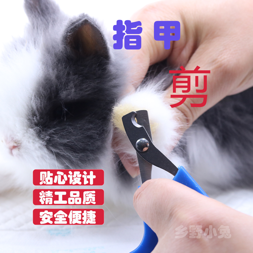 指甲剪兔子荷兰猪猫咪雪貂指甲钳指甲刀美容清洁用品小型宠物专用|ruв категории животное/Животное питание и принадлежностей, кошка/собака красоты уборки, маникюрные ножницы - от Buy2taobao.com для оказания профессиональной услуги покупки агента Taobao