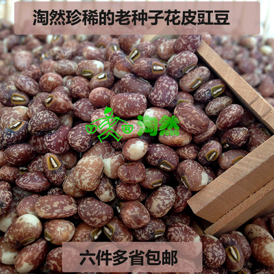 爬豆老品种花皮江豆豇豆饭豆原生可自留种自产农家散装
