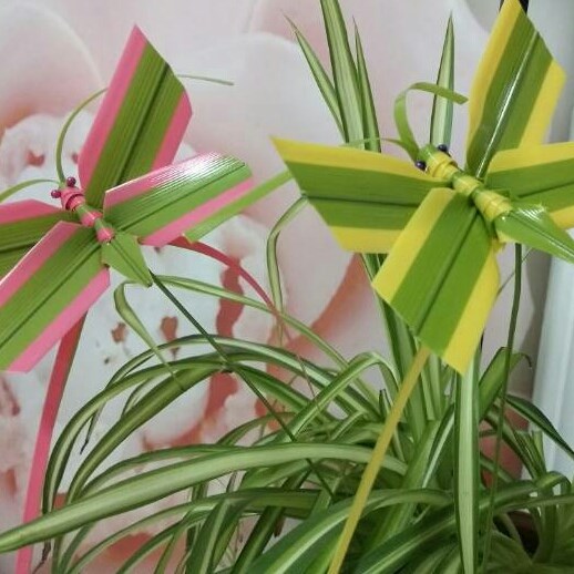 剑叶草编动物棕编塑编小动物手工编织蚂蚱特色摆设家庭装饰工艺品在类目 3C数码配件, 电子元器件市场, 电子元件, 其它元器件中 - 来自Buy2taobao.com提供专业的淘宝代购服务