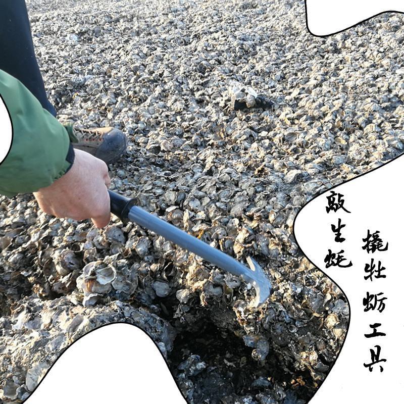 Clamming Oyster tool Oyster Scallops Oysters Mussel Oyster toolin the Agricultural Machinery/Farm tools/Plastic sheeting , Agricultural Tools , Pick category - from Buy2taobao.com to provide professional Taobao agent buy service