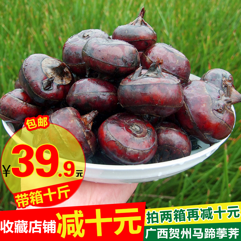 果果私語廣西馬蹄荸荠新鮮包郵帶箱10斤農家水果蔬菜小地栗馬蹄果在類目 水產肉類/新鮮蔬果/熟食, 新鮮蔬菜/蔬菜製品, 新鮮蔬菜, 其它中 - 來自Buy2taobao.com提供專業的淘寶代購服務
