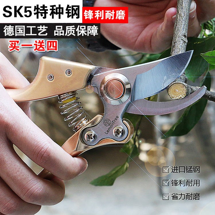 进口剪枝剪修枝剪刀园艺剪刀花剪果树剪修剪树枝剪刀园林工具锰钢在类目 电子词典/电纸书/文化用品, 裁剪用品, 剪刀中 - 来自Buy2taobao.com提供专业的淘宝代购服务