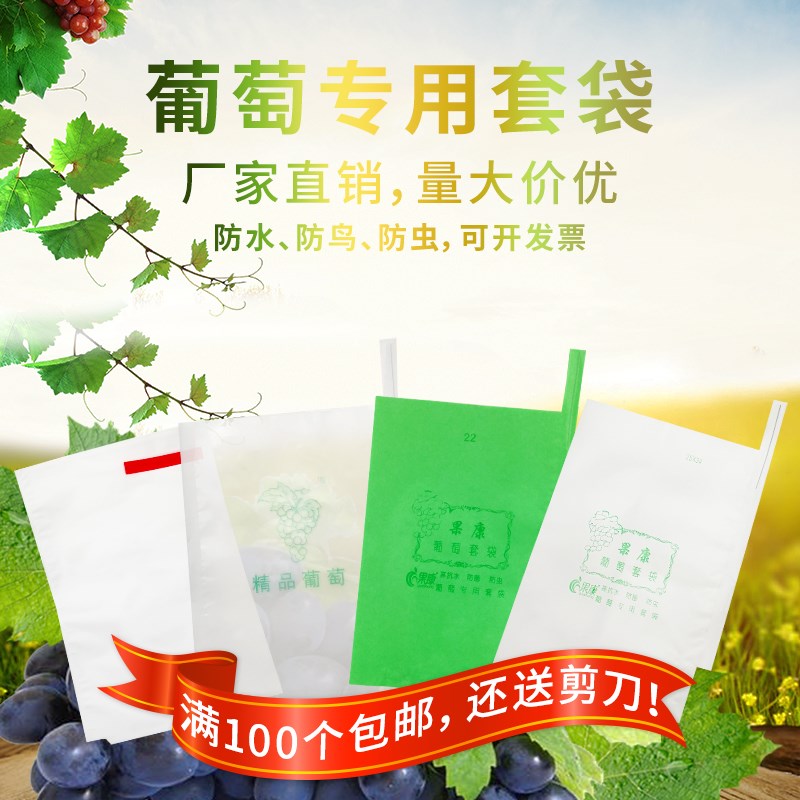枇杷套袋葡萄套袋专用袋防鸟防虫袋露天葡萄袋子 葡萄果袋在类目 鲜花速递/花卉仿真/绿植园艺, 园艺用品, 其它园艺用品中 - 来自Buy2taobao.com提供专业的淘宝代购服务