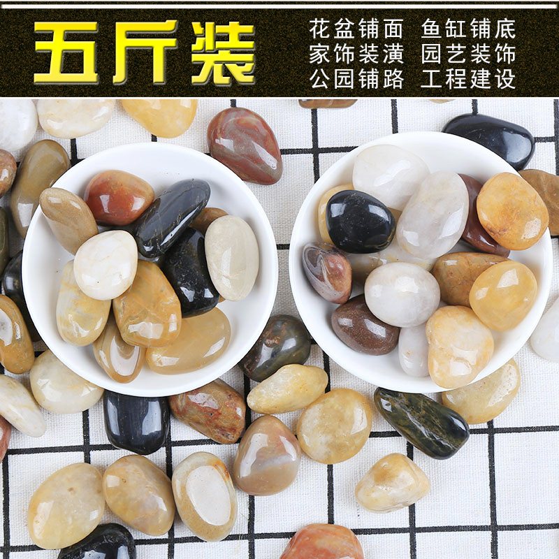 【五斤包邮】鹅卵石雨花石原石天然清仓花盆鱼缸石头彩色小石头子在类目 鲜花速递/花卉仿真/绿植园艺, 园艺用品, 其它园艺用品中 - 来自Buy2taobao.com提供专业的淘宝代购服务
