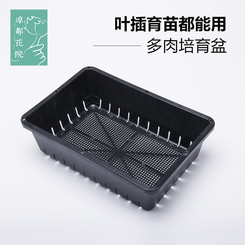 多肉植物育苗叶插盆培育盆在类目 鲜花速递/花卉仿真/绿植园艺, 园艺用品, 育苗盘/营养钵中 - 来自Buy2taobao.com提供专业的淘宝代购服务