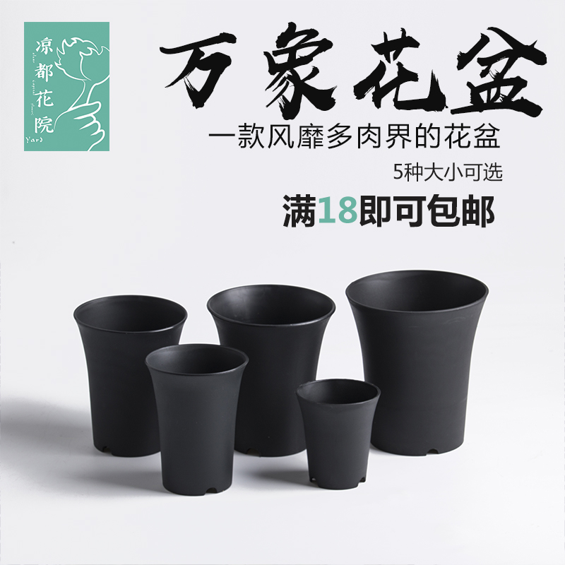 玉露多肉植物花盆盆栽新款肉肉透明雨露花十二卷含万象盆在类目 鲜花速递/花卉仿真/绿植园艺, 花瓶/花器/花盆/花架(新), 花盆中 - 来自Buy2taobao.com提供专业的淘宝代购服务