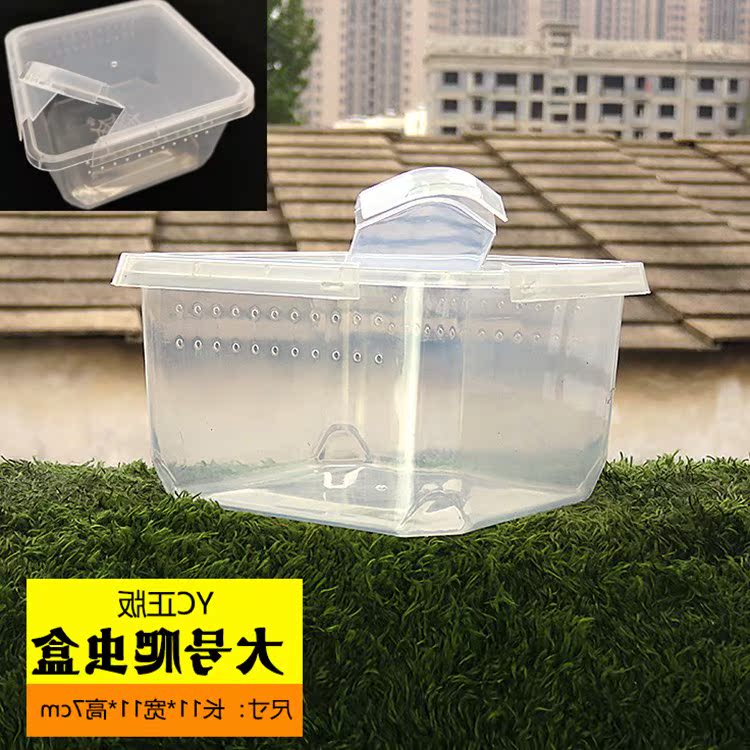 蜘蛛饲养盒带翻盖透气孔活体蜘蛛蝎子蜈蚣昆虫幼体饲养箱放越狱|ruв категории животное/Животное питание и принадлежностей, рептилии/насекомых и принадлежностей, рептилии/насекомых приборов - от Buy2taobao.com для оказания профессиональной услуги покупки агента Taobao
