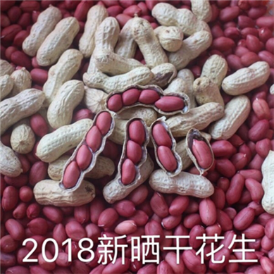 河南花生米红皮花生米生新货花生红皮四粒红衣花生米新果仁在类目 零食/坚果/特产, 山核桃/坚果/炒货, 花生中 - 来自Buy2taobao.com提供专业的淘宝代购服务
