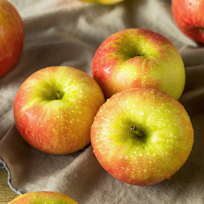 陕西红富士苹果当季新鲜苹果脆甜鲜果水果整箱5斤/10斤包邮