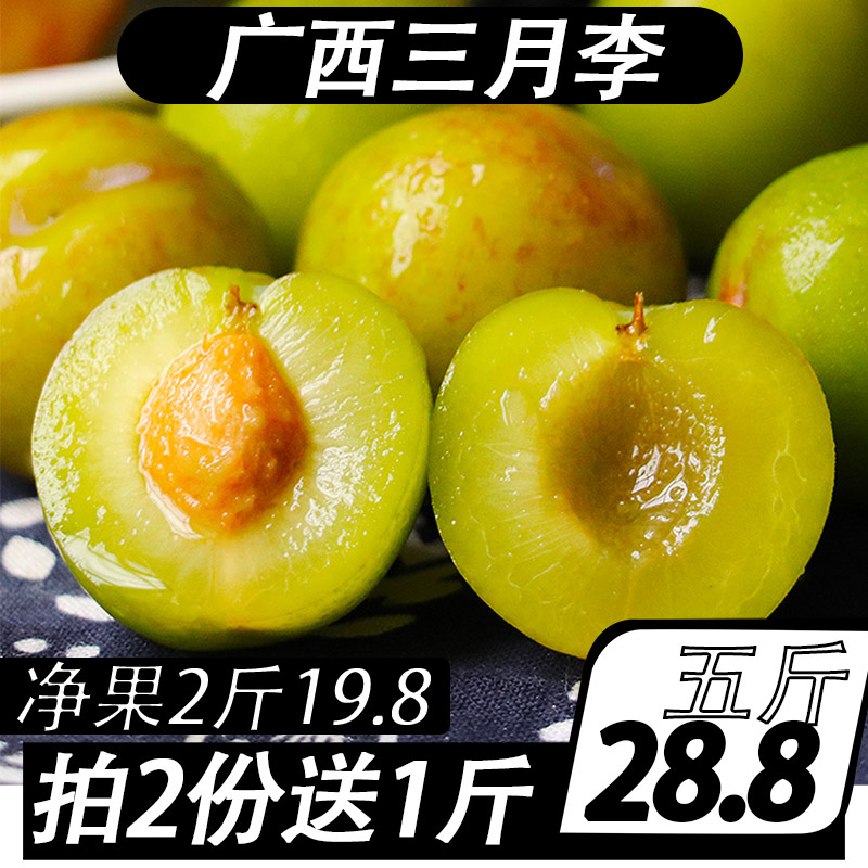 三月李下架,不接单谢谢在类目 水产肉类/新鲜蔬果/熟食, 新鲜水果, 李子中 - 来自Buy2taobao.com提供专业的淘宝代购服务