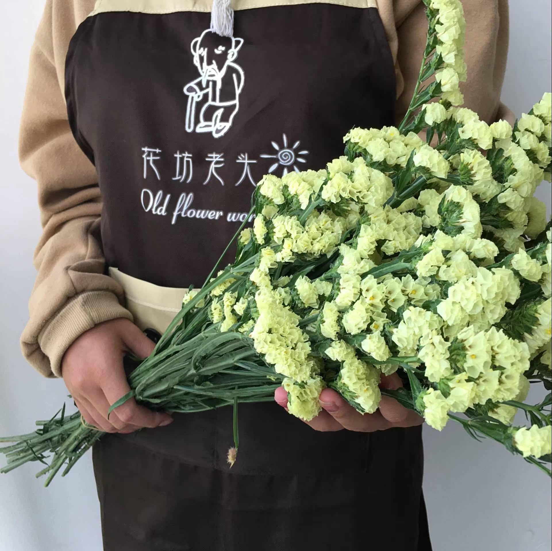 2019新款雲南鮮花基地直發 9.9我幹花束小清新辦公室家用插花裝。在類目 鮮花速遞/花卉仿真/綠植園藝, 鮮花速遞(同城)中 - 來自Buy2taobao.com提供專業的淘寶代購服務
