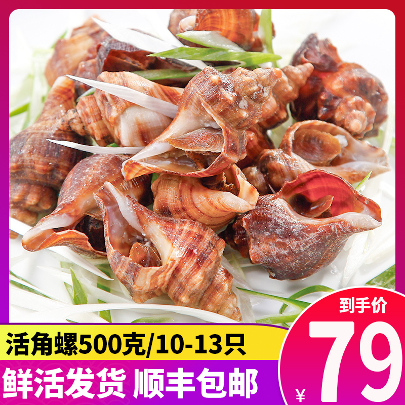 万龙洲 鲜活大海螺角螺500克 海鲜水产活贝类 顺丰包邮|msdalam kategori daging perikanan/Buah-buahan segar dan sayur-sayuran/dimasak, makanan laut/produk akuatik/produk, kerang, produk kerang - dari Buy2taobao.com untuk memberikan perkhidmatan ejen Taobao profesional membeli