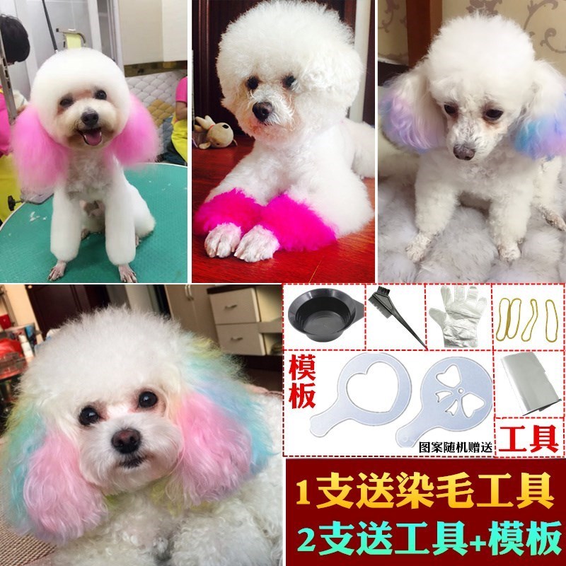 wool Pets Fox Dogs dyeing Maomao environmental protection Complementary color Dogs Pets Dye tassels repairin the Pet/Pet food and supplies , Cat/Dog grooming cleaning supplies , Beauty Scissors category - from Buy2taobao.com to provide professional Taobao agent buy service