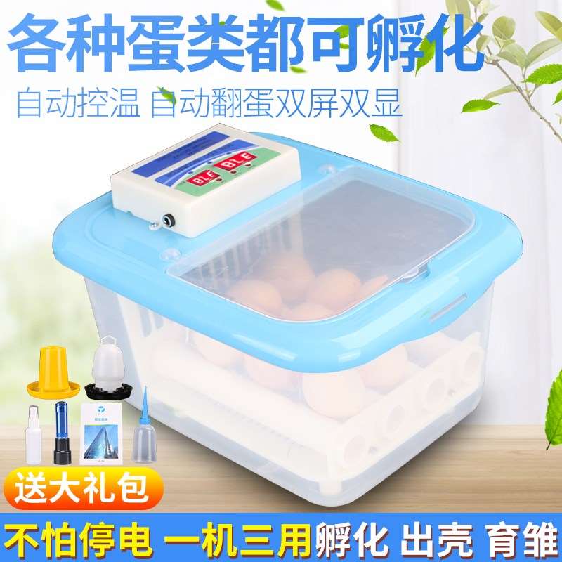 鸟孵蛋器小型全自动家用儿童家庭孵化机鹅蛋电动控制器宿舍鸽子蛋|ruв категории оборудование/инструменты, приборы, электрический инструмент - от Buy2taobao.com для оказания профессиональной услуги покупки агента Taobao