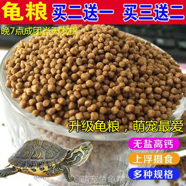 Little Turtle feed currency Medium and small grain Tortoise Tortoise Opening Calcium supplement Dried shrimp Snapping Turtle Red-eared Turtle Foodin the Pet/Pet food and supplies , Aqua World , Turtle Watch/Turtle feed category - from Buy2taobao.com to provide professional Taobao agent buy service
