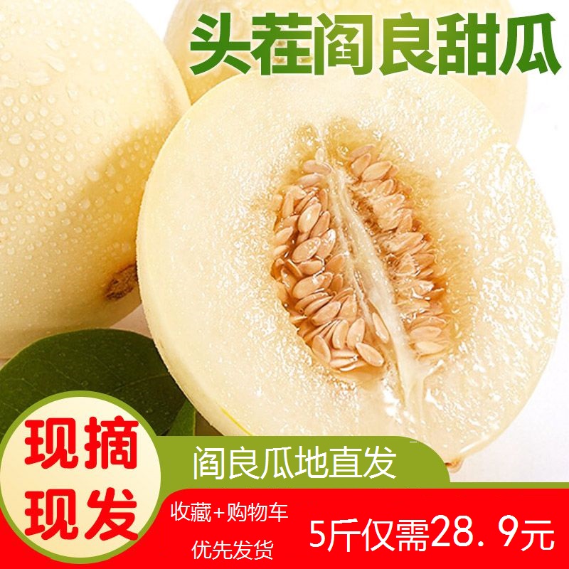 陝西閻良甜瓜5斤新鮮時令水果白皮香瓜應季脆甜蜜瓜現摘帶箱在類目 水產肉類/新鮮蔬果/熟食, 新鮮水果, 其它中 - 來自Buy2taobao.com提供專業的淘寶代購服務