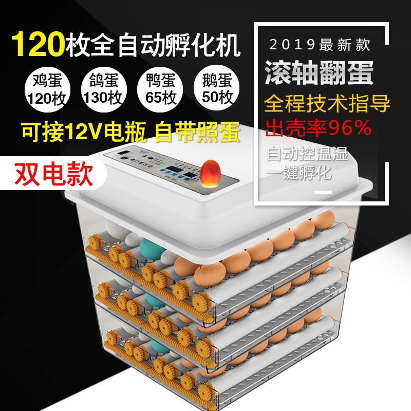 全自動孵化器小雞家用孵化機孵化設備卵蛋機器電抱出殼機鴨鵝卵化在類目 五金/工具, 儀器儀表, 電熱工具中 - 來自Buy2taobao.com提供專業的淘寶代購服務