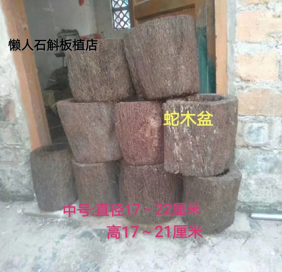 Snake Basin,Coconut shell Basin,Hanging Basin,The original ecology Beautiful Orchids Dendrobium epiphytic Soft woodin the Flower delivery/Flowers simulation/Plants gardening , Gardening supplies , Other Garden Supplies category - from Buy2taobao.com to provide professional Taobao agent buy service
