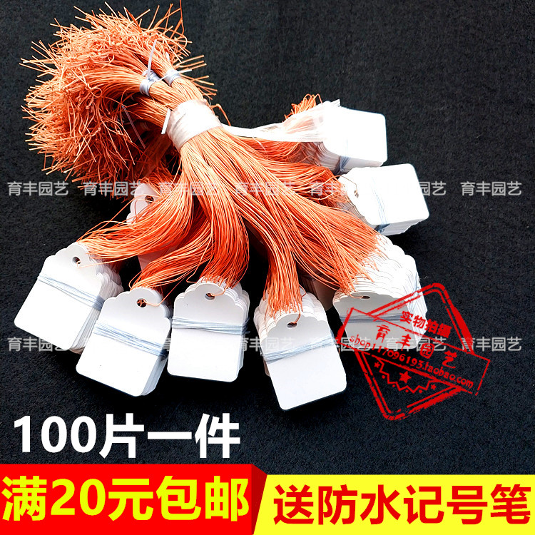 100张一件大棚标签实验吊牌果树苗木塑料吊牌吊签记号挂牌标记牌在类目 鲜花速递/花卉仿真/绿植园艺, 园艺用品, 其它园艺用品中 - 来自Buy2taobao.com提供专业的淘宝代购服务