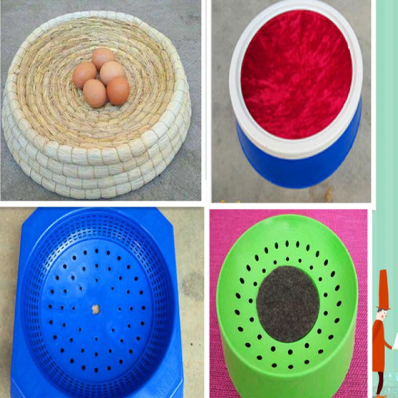 dove Supplies appliance Plastic Grass nest Pigeon foot ring Pigeon nest Mat Nest Foot ring Distinguish Henhousein the Pet/Pet food and supplies , Other pets , Other pets category - from Buy2taobao.com to provide professional Taobao agent buy service