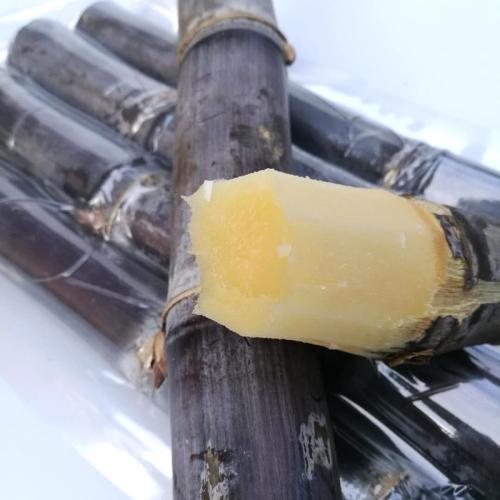 广西新鲜黑皮甘蔗当季新鲜水果现砍特甜甘蔗带箱9斤包邮在类目 水产肉类/新鲜蔬果/熟食, 新鲜水果, 其它中 - 来自Buy2taobao.com提供专业的淘宝代购服务