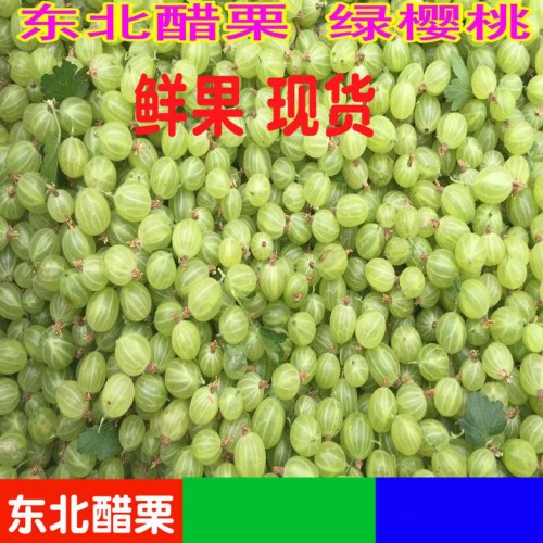 现货新鲜灯笼果 绿樱桃酸子粒儿带箱2斤装灯笼果在类目 水产肉类/新鲜蔬果/熟食, 新鲜水果, 其它中 - 来自Buy2taobao.com提供专业的淘宝代购服务