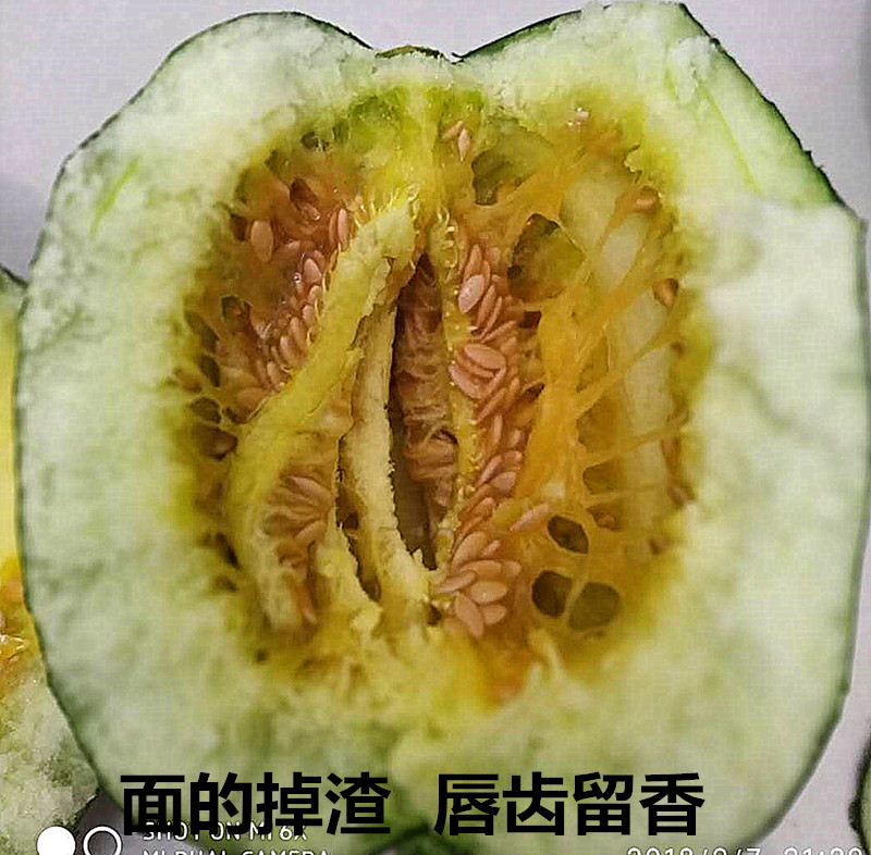 山东潍坊老面瓜黑皮面瓜黄皮面瓜寿光香瓜低糖水果带箱4斤装在类目 水产肉类/新鲜蔬果/熟食, 新鲜水果, 其它中 - 来自Buy2taobao.com提供专业的淘宝代购服务