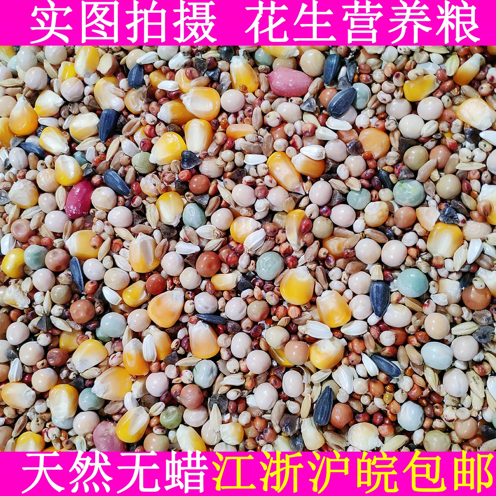鸽粮50斤装有玉米赛飞营养鸽子饲料赛信观赏肉鸽子粮食鸟食包邮86|msdalam kategori haiwan peliharaan/makanan haiwan dan bekalan, Burung dan bekalan, makanan burung - dari Buy2taobao.com untuk memberikan perkhidmatan ejen Taobao profesional membeli