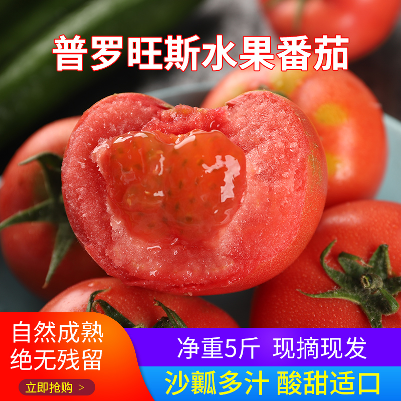 普罗旺斯水果西红柿 新鲜生吃大番茄农家蔬菜当季沙瓤自然熟5斤在类目 水产肉类/新鲜蔬果/熟食, 新鲜蔬菜/蔬菜制品, 新鲜蔬菜, 番茄中 - 来自Buy2taobao.com提供专业的淘宝代购服务