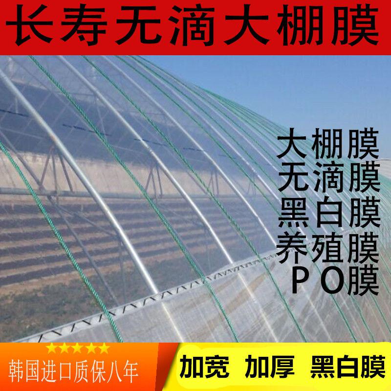 黑白膜包邮加厚塑料布薄膜无滴膜农用透明地膜保温家用大棚膜养殖在类目 鲜花速递/花卉仿真/绿植园艺, 园艺用品, 智能园艺用品中 - 来自Buy2taobao.com提供专业的淘宝代购服务