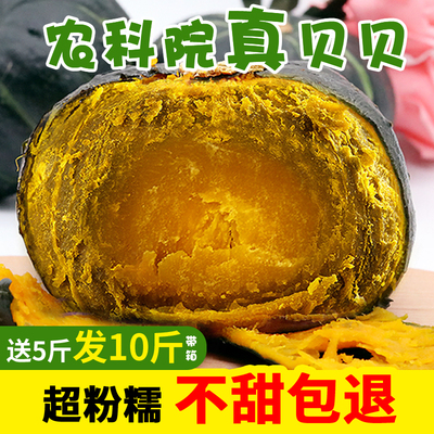 青山农场 板栗味贝贝南瓜10斤宝宝营养辅食 农科院沙漠老南瓜带箱
